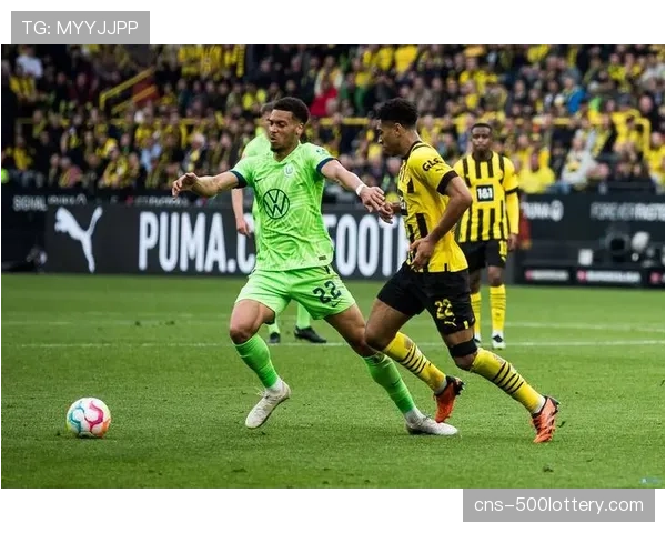 官方：沃尔夫斯堡前锋卢卡斯·恩梅查因膝伤提前告别本赛季